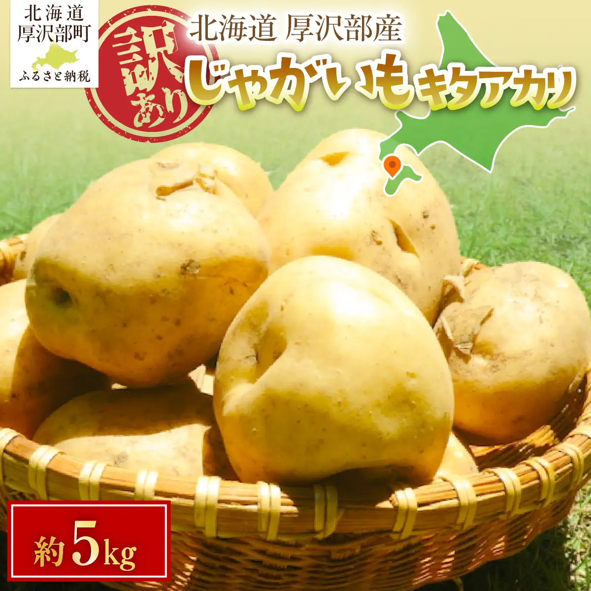 【2026年7月下旬頃より順次発送】(訳あり) じゃがいも キタアカリ 5kg ASG084