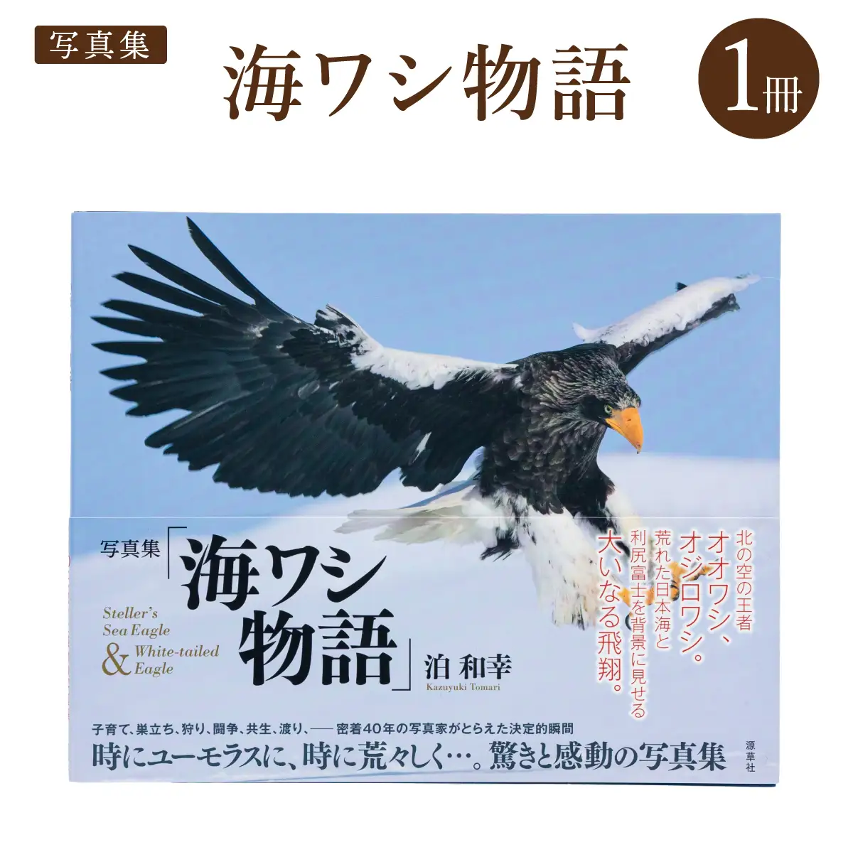 【写真集】海ワシ物語【泊和幸　野生塾】