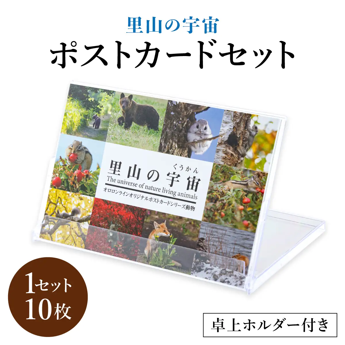 【野生塾　泊和幸】ポストカードセット　里山の宇宙（動物）