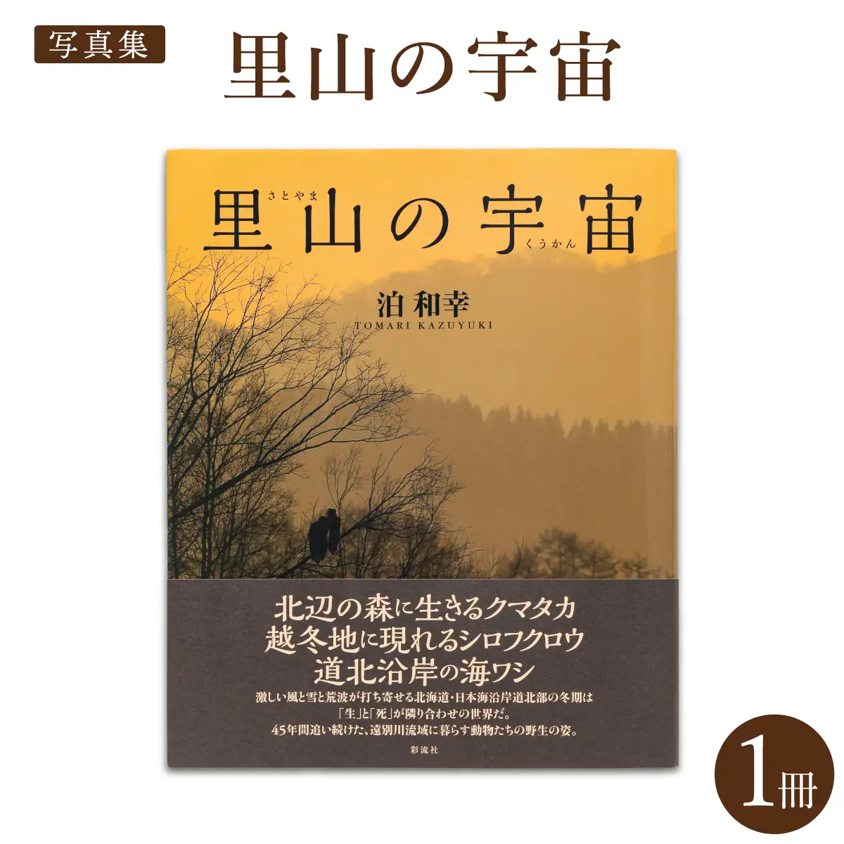 【写真集】里山の宇宙（さとやまのくうかん）【泊和幸　野生塾】