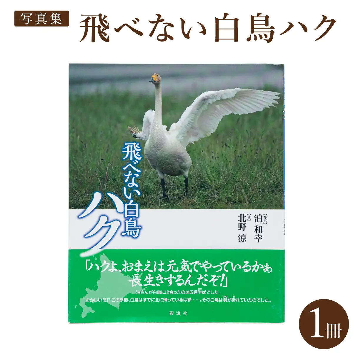 写真集】飛べない白鳥ハク 彩流社 【野生塾 泊和幸】 | 北海道遠別町