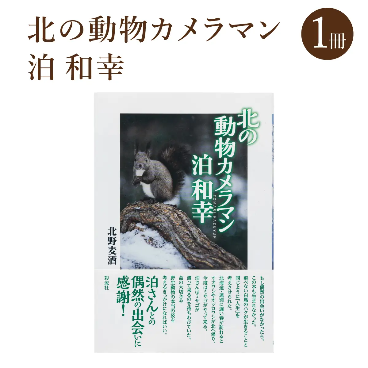 ｢北の動物カメラマン泊和幸 ｣北野麦酒 筆 彩流社　野生塾
