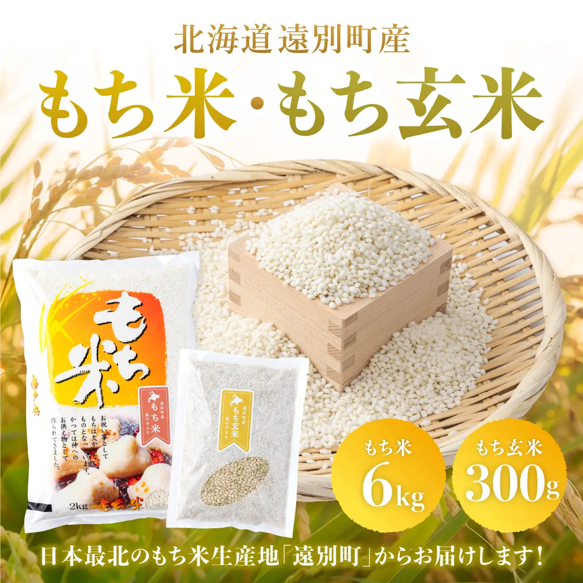 【日本最北のもち米生産地からお届け】風の子もち６㎏＋もち玄米300gセット【令和７年産新米】