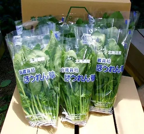 遠別産　有機ほうれん草（約150ｇ×10束）