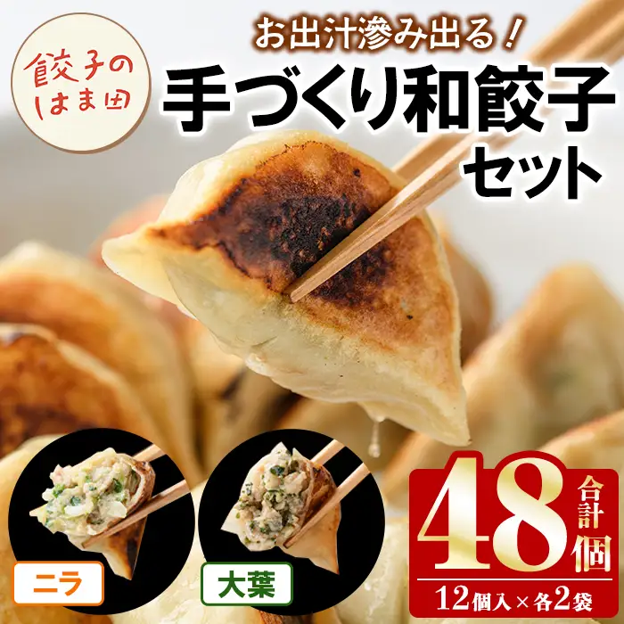 手づくり和餃子セット(ニラ餃子12個入×2袋+大葉餃子12個入×2袋・合計48個) 餃子 生餃子 ギョウザ ぎょうざ ギョーザ セット 詰め合わせ おかず お惣菜 冷凍 和風 水餃子 にら ニラ 大葉 手作り 食べ比べ 【餃子のはま田】akn096-03