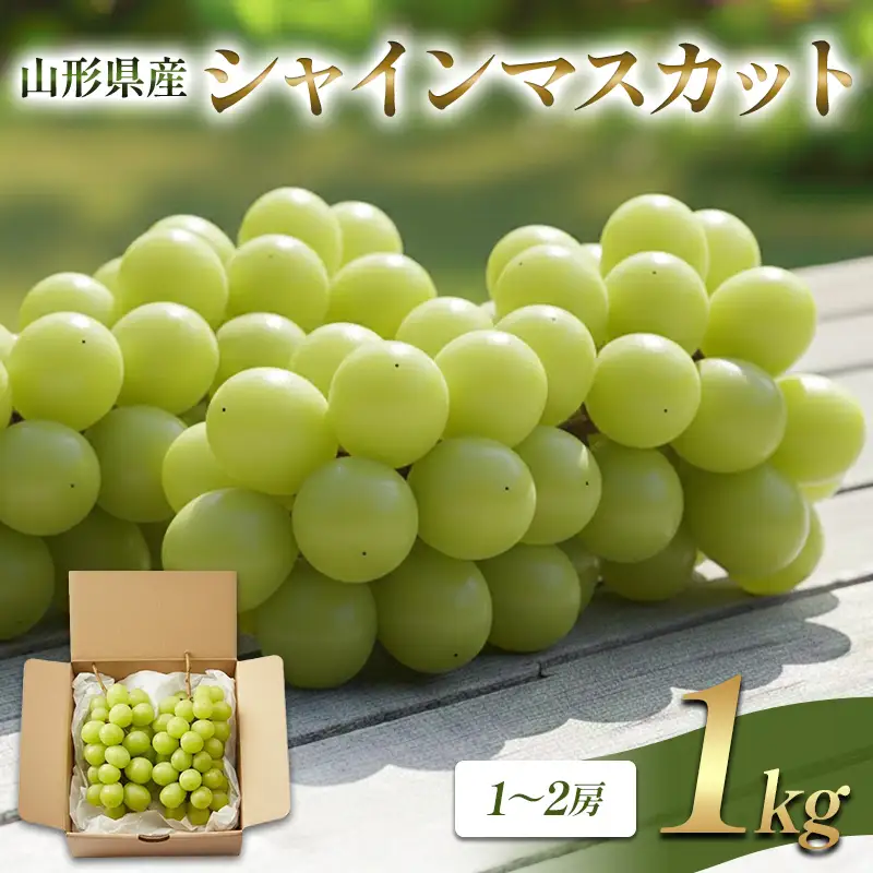 山形県産 シャインマスカット 1kg FSY-2848