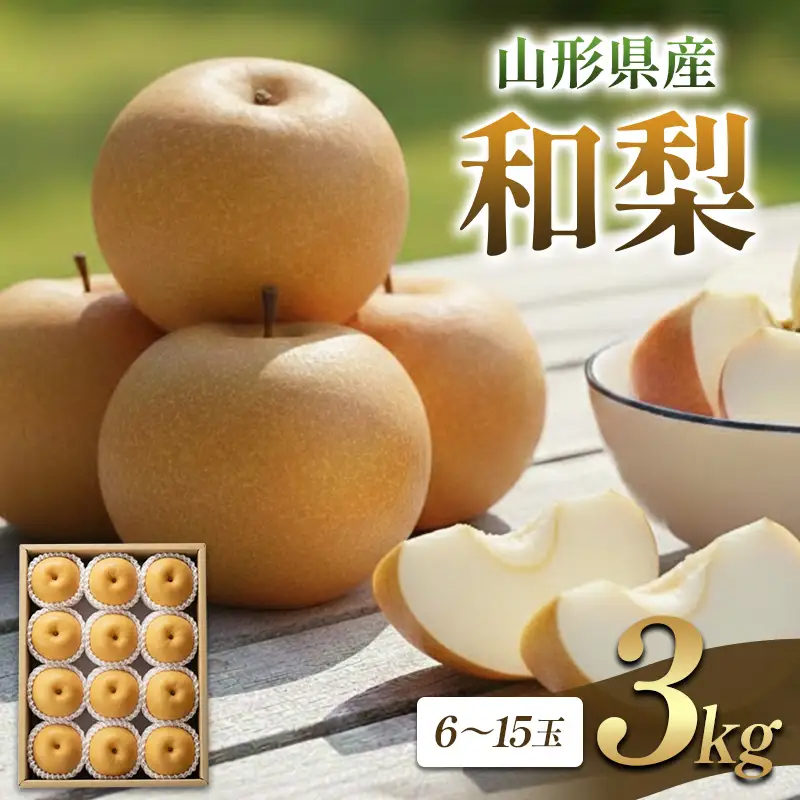 山形県産 和梨 3kg FSY-2866