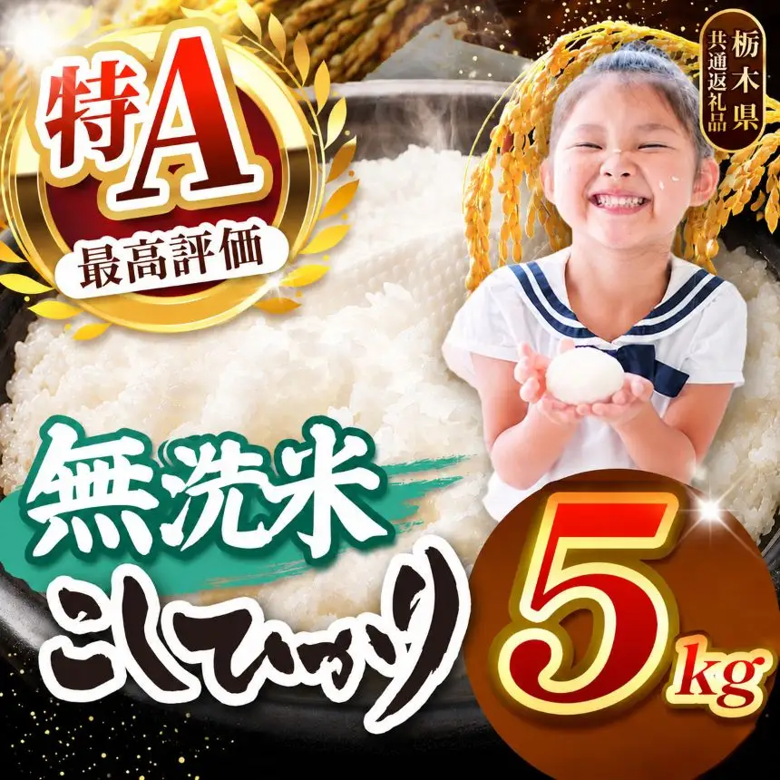【2026年産】栃木県産コシヒカリ 無洗米 5kg【栃木県共通返礼品 栃木県産】