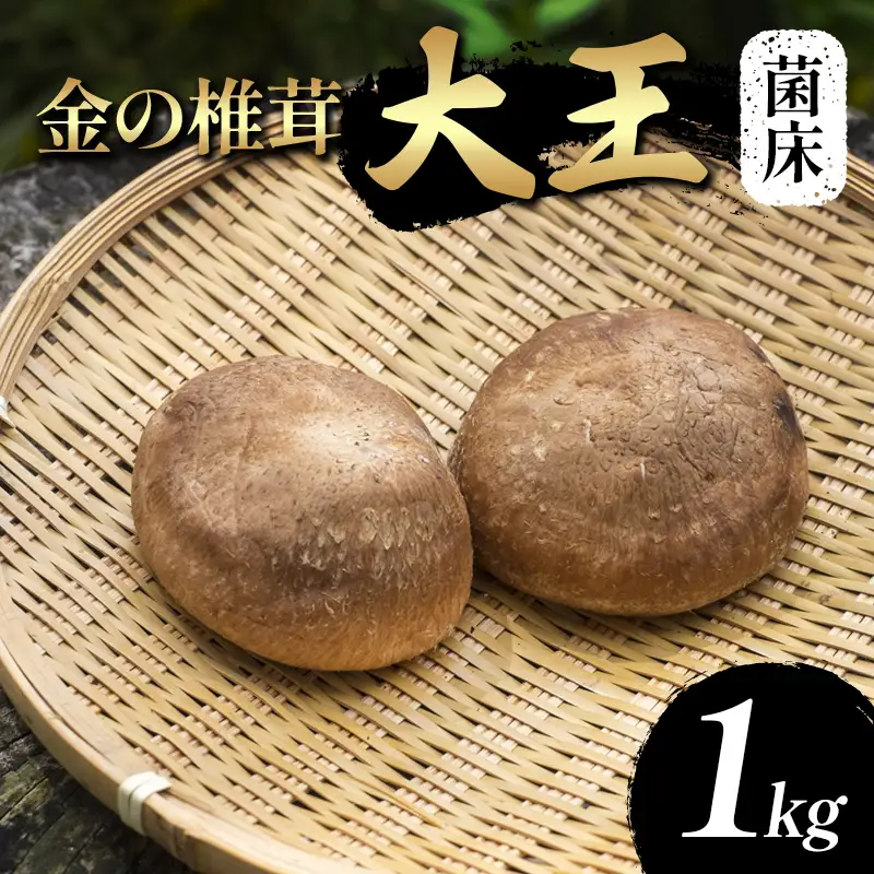 金の椎茸【菌床】「大王」1kg F2Y-4657
