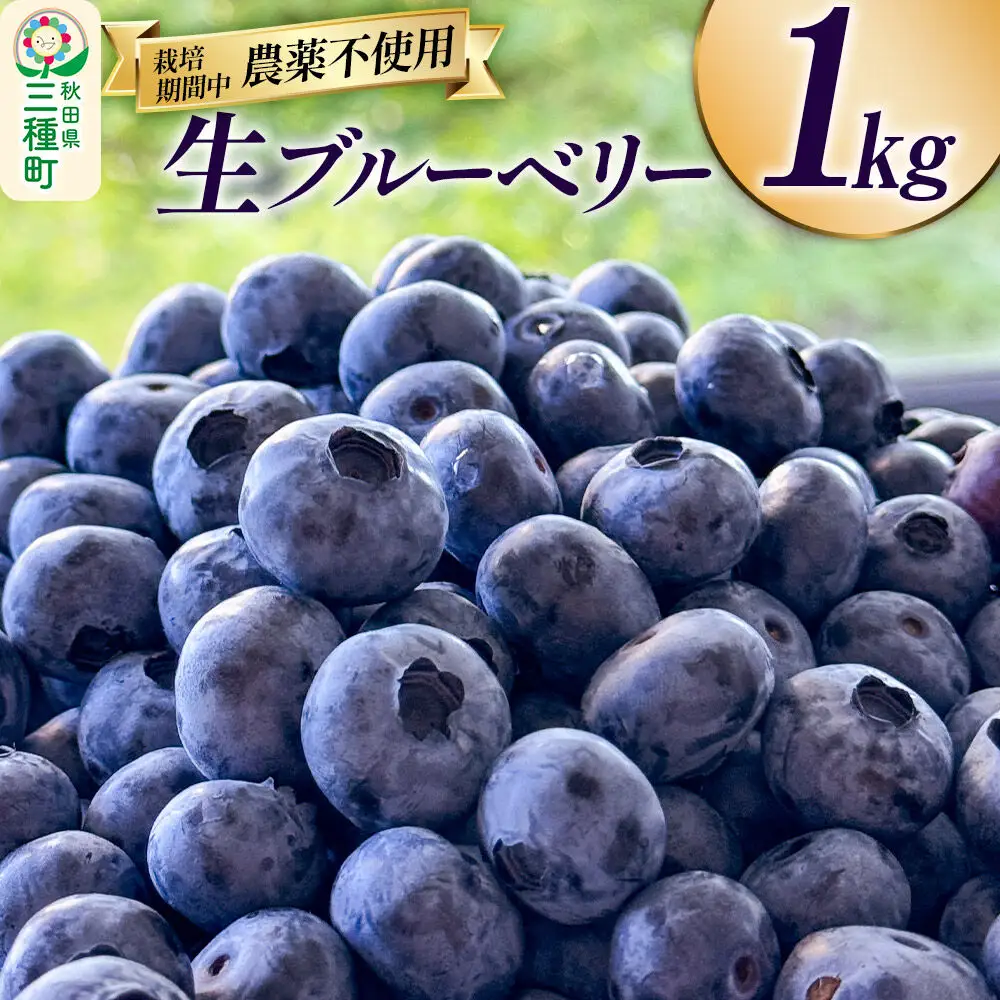 ブルーベリー 1kg 秋田県山本郡三種町産