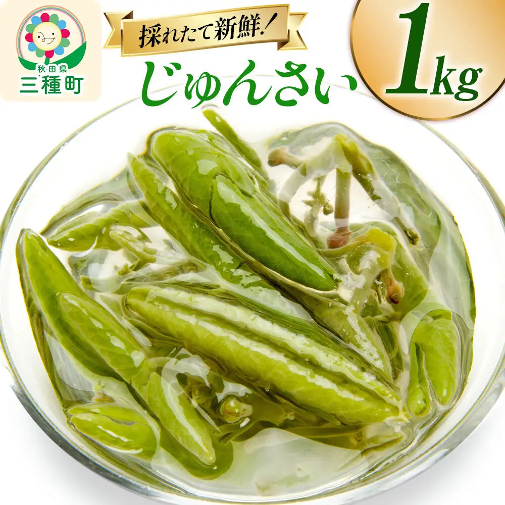 じゅんさい 1kg 秋田県山本郡三種町産