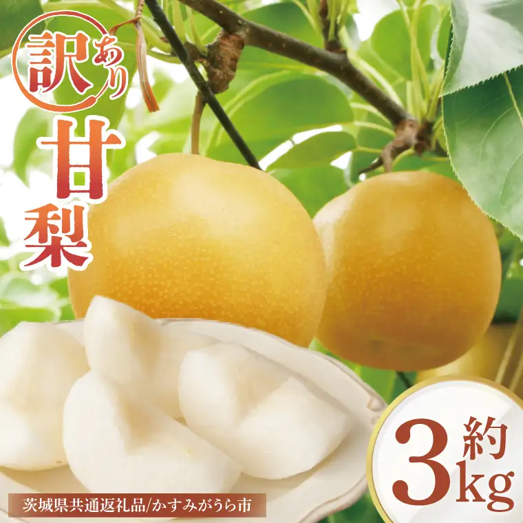 【8月中旬より発送】【数量限定】訳あり 甘梨（なし） 約3kg（茨城県共通返礼品／かすみがうら市）（FW-8）