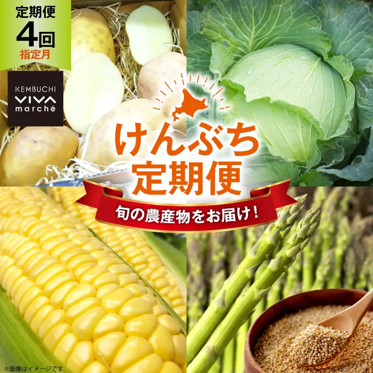 野菜 定期便 4回 【剣淵町産】 けんぶち定期便