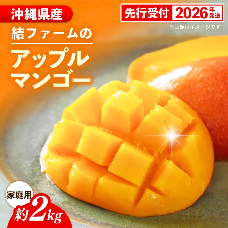 【先行受付】【2026年発送】結ファーム 家庭用 アップルマンゴー 約2kg （4～8玉）- ご自宅用 先行予約 沖縄県産 産地直送 南国フルーツ 旬の味覚 オススメ 沖縄県 八重瀬町