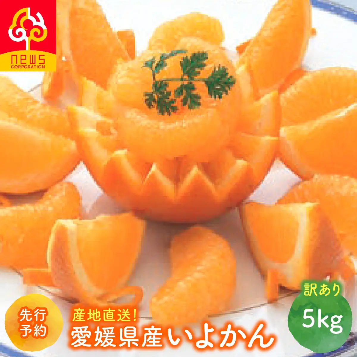 【先行予約】【訳あり】産地直送！愛媛県産いよかん 5kg（2027年1月中旬から発送予定） IKTF030