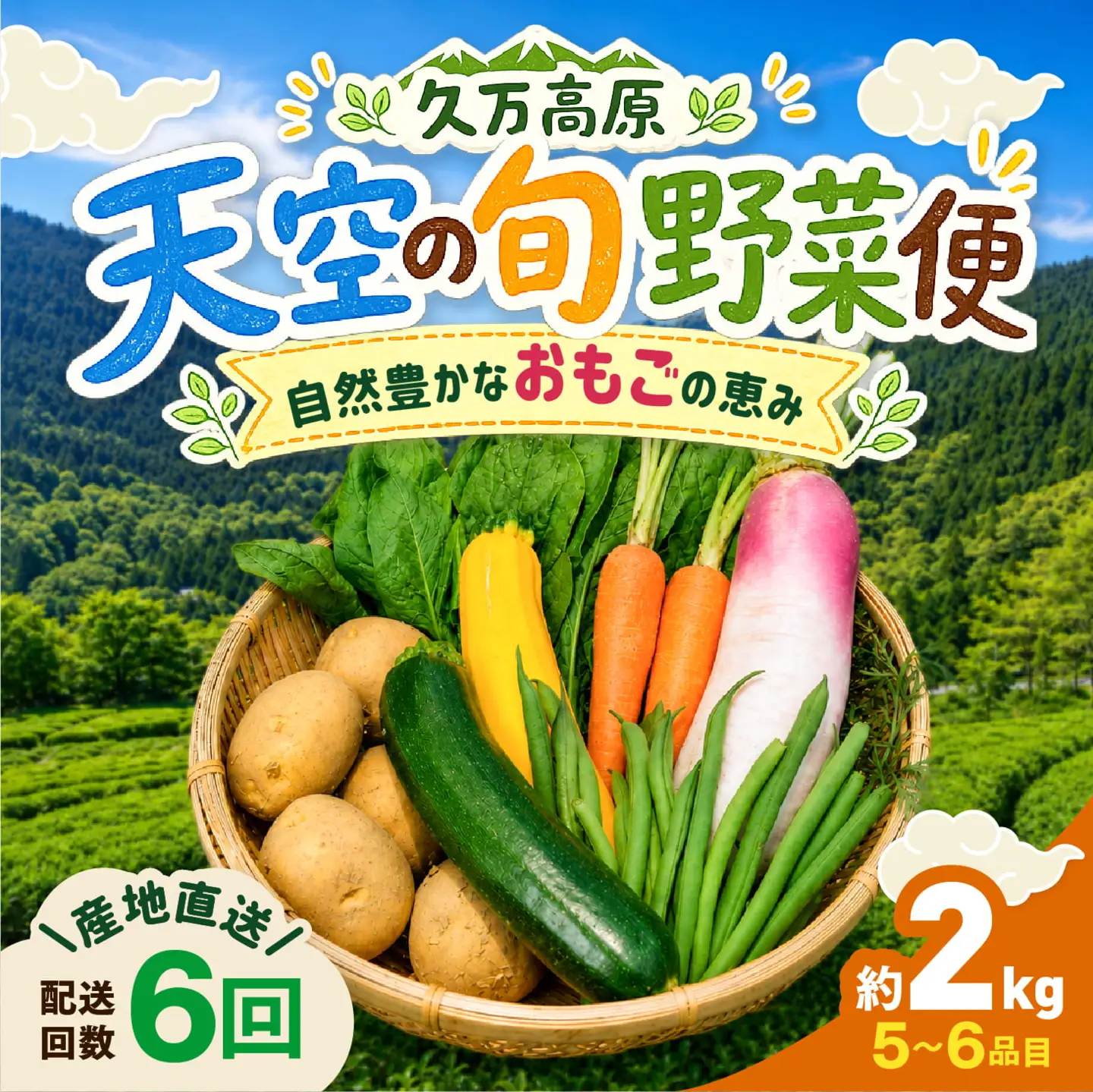 【定期便6回】久万高原 天空の旬野菜便2kg【面河特産品開発センター厳選】｜野菜詰め合わせ 5〜6品目 新鮮野菜 定期便 愛媛県産 産地直送