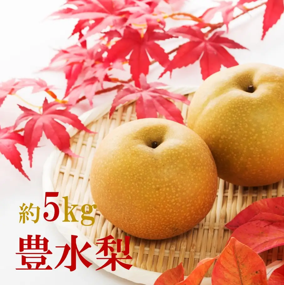 【先行予約】令和8年発送/数量限定！矢野果樹園の梨『豊水』5kg_2062R