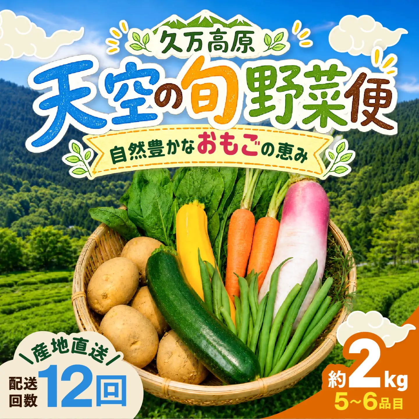 【定期便12回】久万高原 天空の旬野菜便2kg【面河特産品開発センター厳選】｜野菜詰め合わせ 5〜6品目 新鮮野菜 定期便 愛媛県産 産地直送