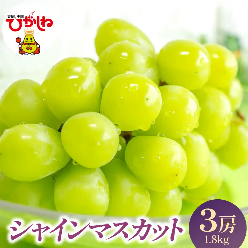 2026年産 シャインマスカット 3房 1.8kg シャインマスカット