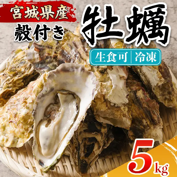 殻付き牡蠣（生食用）冷凍 5kg 生牡蠣 宮城県産 牡蛎 牡蠣 カキ かき 生食 オイスター カキフライ 牡蠣鍋 海鮮 国産 魚貝類 バーベキュー BBQ 【カタクチ商店株式会社】ta737