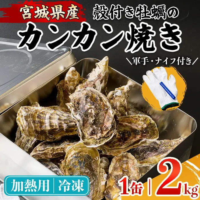 殻付き牡蠣 カンカン焼きセット 冷凍 2kg 加熱用 宮城県産 牡蛎 牡蠣 カキ かき オイスター カキフライ 牡蠣鍋 海鮮 国産 魚貝類 バーベキュー BBQ 【カタクチ商店株式会社】ta738