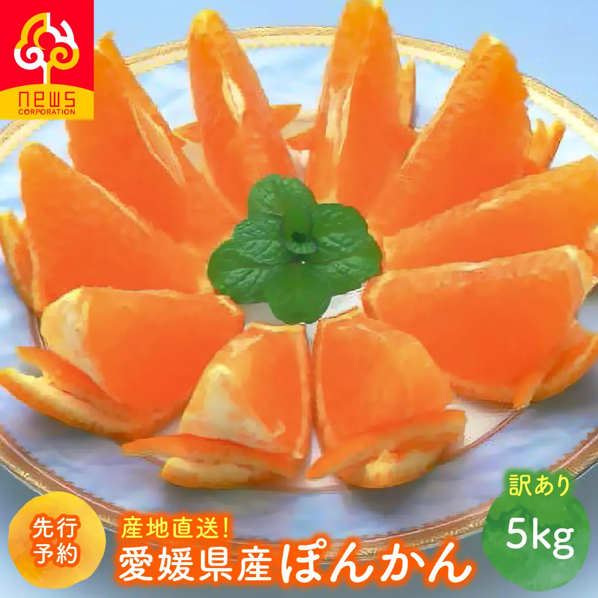 【先行予約】【訳あり】産地直送！愛媛県産ぽんかん 5kg（2027年1月上旬より順次発送）　IKTF033