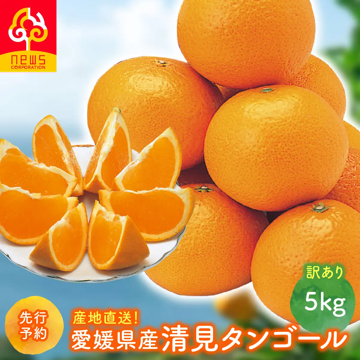 【先行予約】【訳あり】産地直送！愛媛県産清見タンゴール 5kg（2027年2月下旬より順次発送） IKTF035