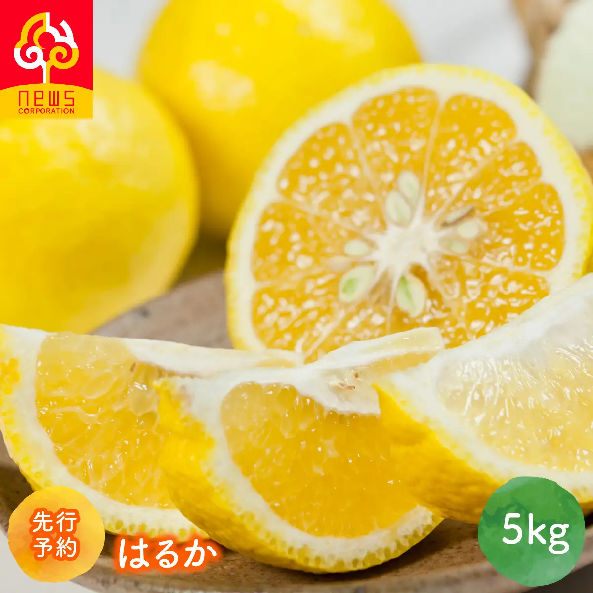 【先行予約】はるか5kg（2027年1月下旬より順次発送） IKTF036