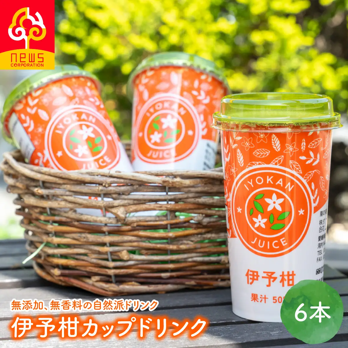 伊予柑カップドリンク6本入り IKTF041