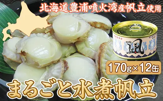 北海道 豊浦 噴火湾産 まるごと水煮帆立 170g×12缶 ほたて ホタテ