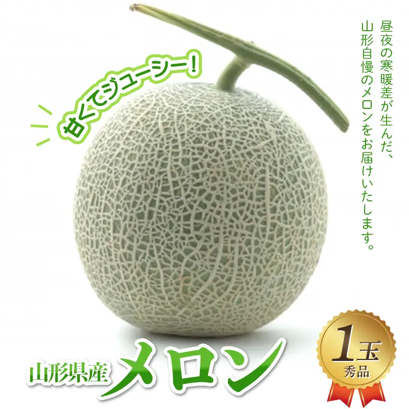 山形県産メロン 1玉 秀品 FSY-2927