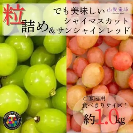 ★2026年度発送　SDGs　粒シャイン＆サンシャインレッド　1kg相当【配送不可地域：離島・北海道・沖縄県・中国・四国・九州】【1752176】