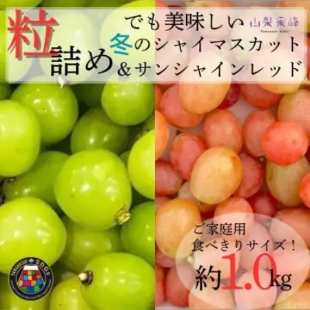 ★2026年度発送　SDGs 粒詰め　冬のシャインマスカット＆サンシャインレッド　1kg相当【配送不可地域：離島・北海道・沖縄県・中国・四国・九州】【1752194】