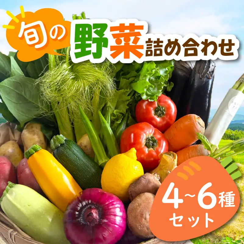 宮若産 旬の野菜詰め合わせ詰め合わせ 4〜6種セット [Ｍ1017] 季節 野菜 果物 詰め合わせ 九州 福岡 宮若市 ふるさと納税 おすすめ