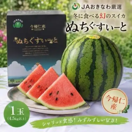 【2027年1月中旬より順次発送】冬に食べる幻のスイカ ぬちぐすいーと 1玉(4.5kg以上)【1744600】