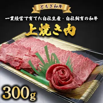 とちぎ和牛 上焼き肉用 300g | 冷凍 牛肉 夕食 焼肉