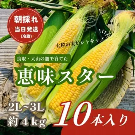 【朝採れ当日発送】大山スイートコーン10本|2L～3Lサイズ(約4kg)|恵味スター【配送不可地域：離島・北海道・沖縄県・東北・信越、北陸】【1745548】