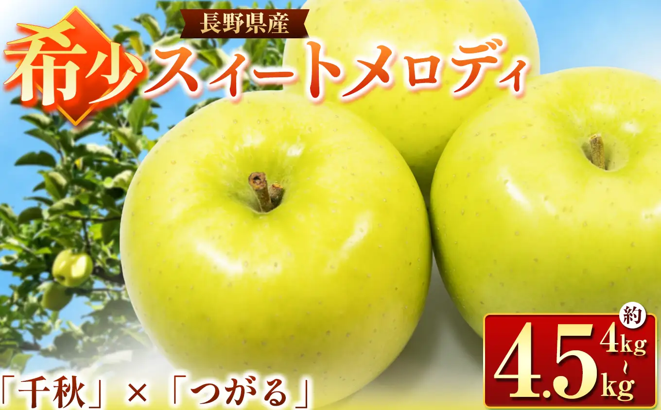 【2026年先行予約】希少品種 スイートメロディ 4～4.5㎏ ｜東印平林農園