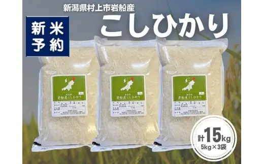 【新米受付・令和8年産米】新潟県村上市岩船産 コシヒカリ15kg（5kg×3袋）1099015N