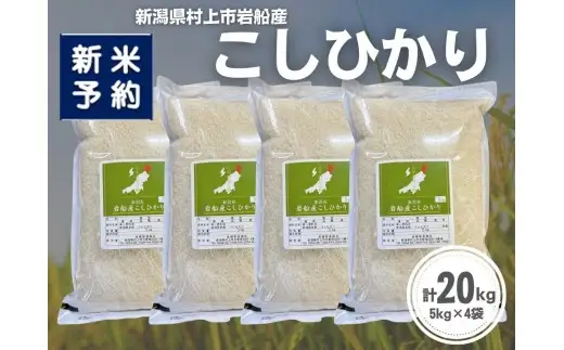 【新米受付・令和8年産米】新潟県村上市岩船産 コシヒカリ20kg（5kg×4袋）1099016N