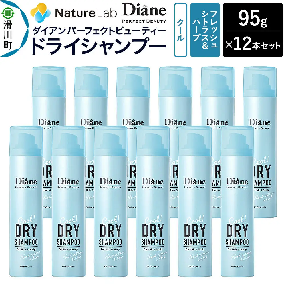 Diane ダイアン パーフェクトビューティー ドライシャンプー クール 95g フレッシュシトラス＆ハーブの香り×12点セット