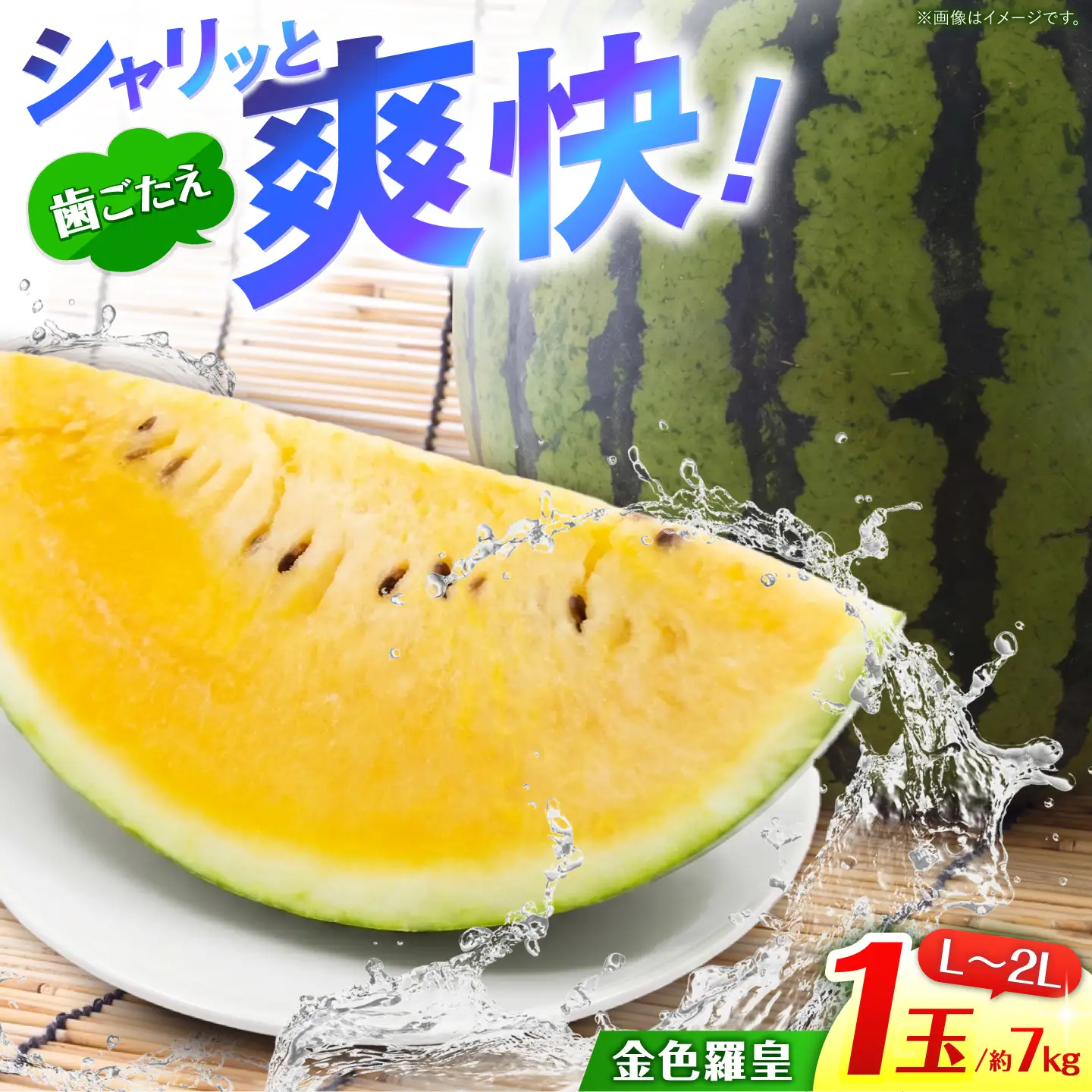 金色羅皇 1玉（L～2L） 約7kg ＜AgriBaseさいかい＞[CGV006]