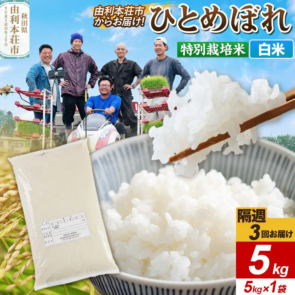 《2週間毎お届け》【定期便3回】ひとめぼれ【白米】5kg（5kg×1袋）令和7年産  特別栽培米  秋田県産