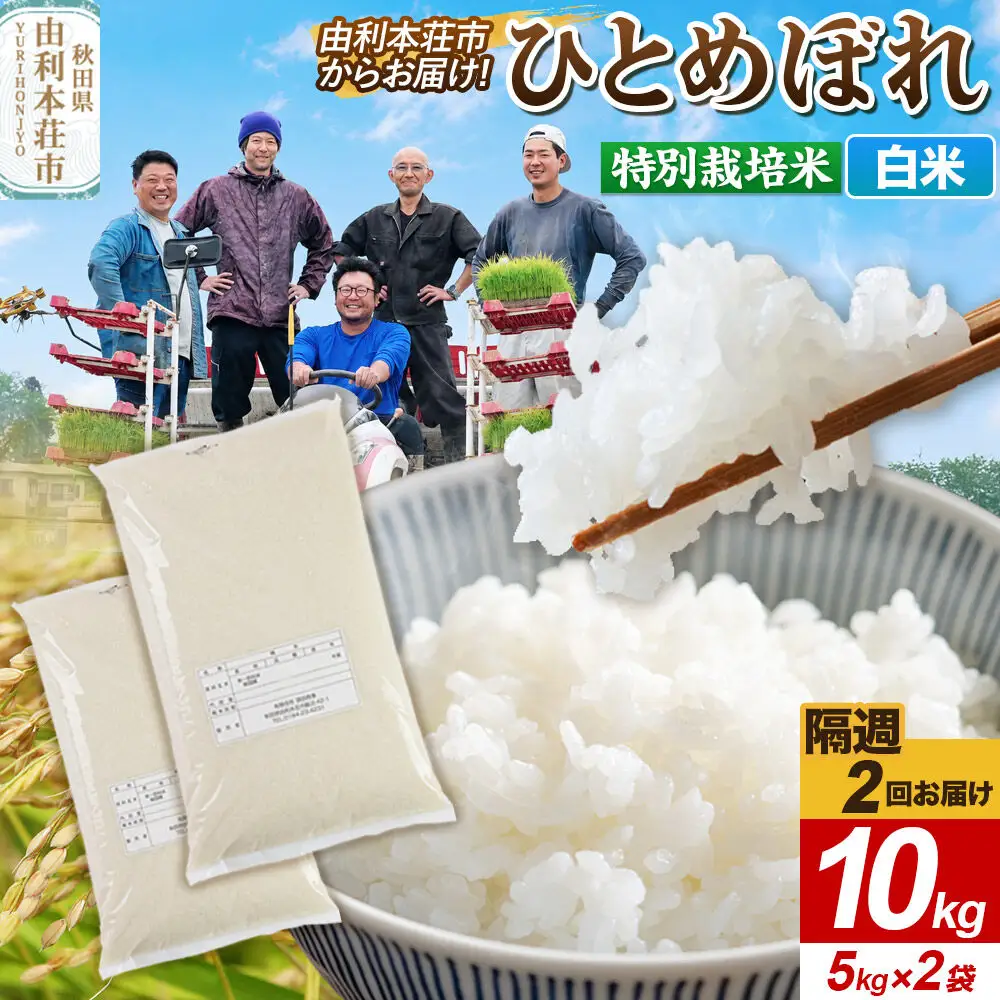 《2週間毎お届け》【定期便2回】ひとめぼれ【白米】10kg（5kg×2袋）令和7年産 特別栽培米  秋田県産