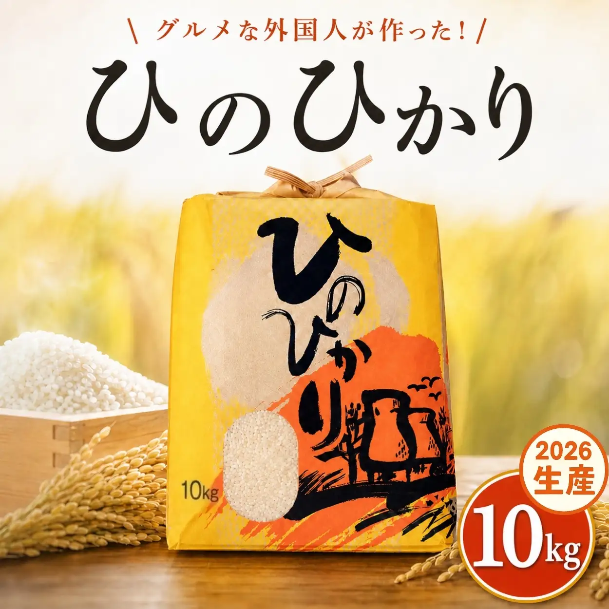 ひのひかり 白米 新米 10kg 2026年産［1121-3］