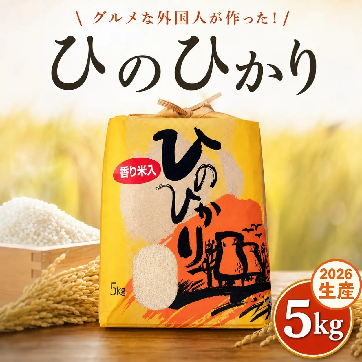 ひのひかり 白米 新米 香米入り 5kg 2026年産［1122-2］