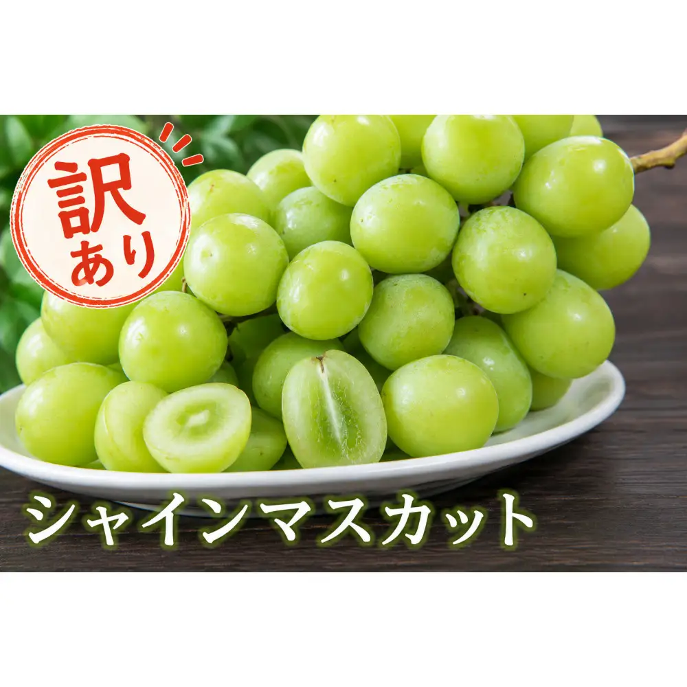 北栄町産シャインマスカット　約２kg(訳あり品)【9月上旬以降お届け】