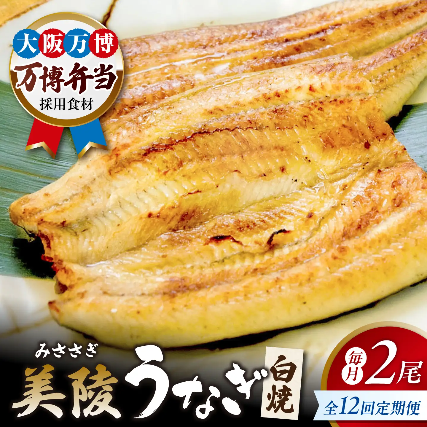 【全12回定期便】鰻 鰻の白焼 2尾/ 美陵鰻 鰻 うなぎ ウナギ 蒲焼 蒲焼き かば焼き かばやき 白焼き 白焼 しろやき しらやき 特大 肉厚 うな重 うな丼 ひつまぶし 惣菜 おかず タレ 山椒 国産 土用 丑の日 ギフト / 大阪府藤井寺市/Giverichホールディングス株式会社[BLAM046]