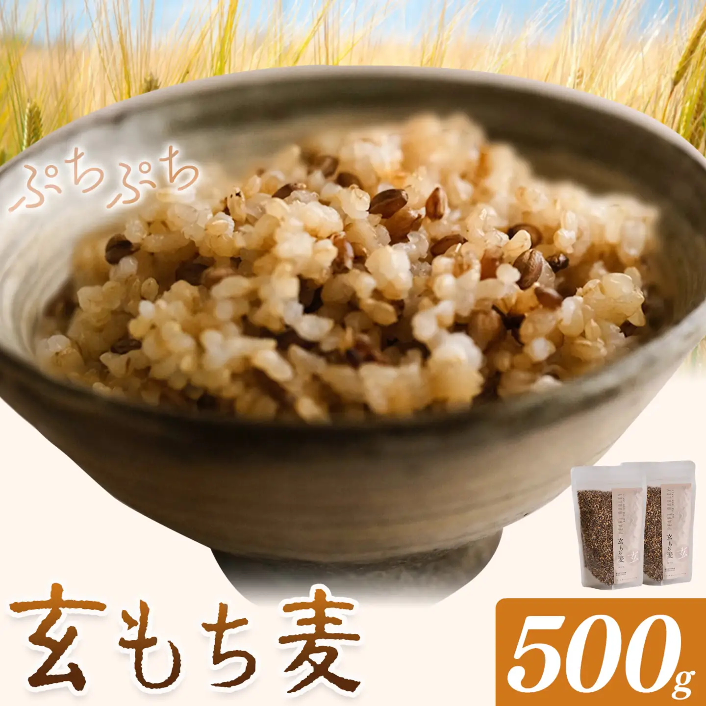もち麦 玄もち麦 500g(250g×2) 自然野菜のら