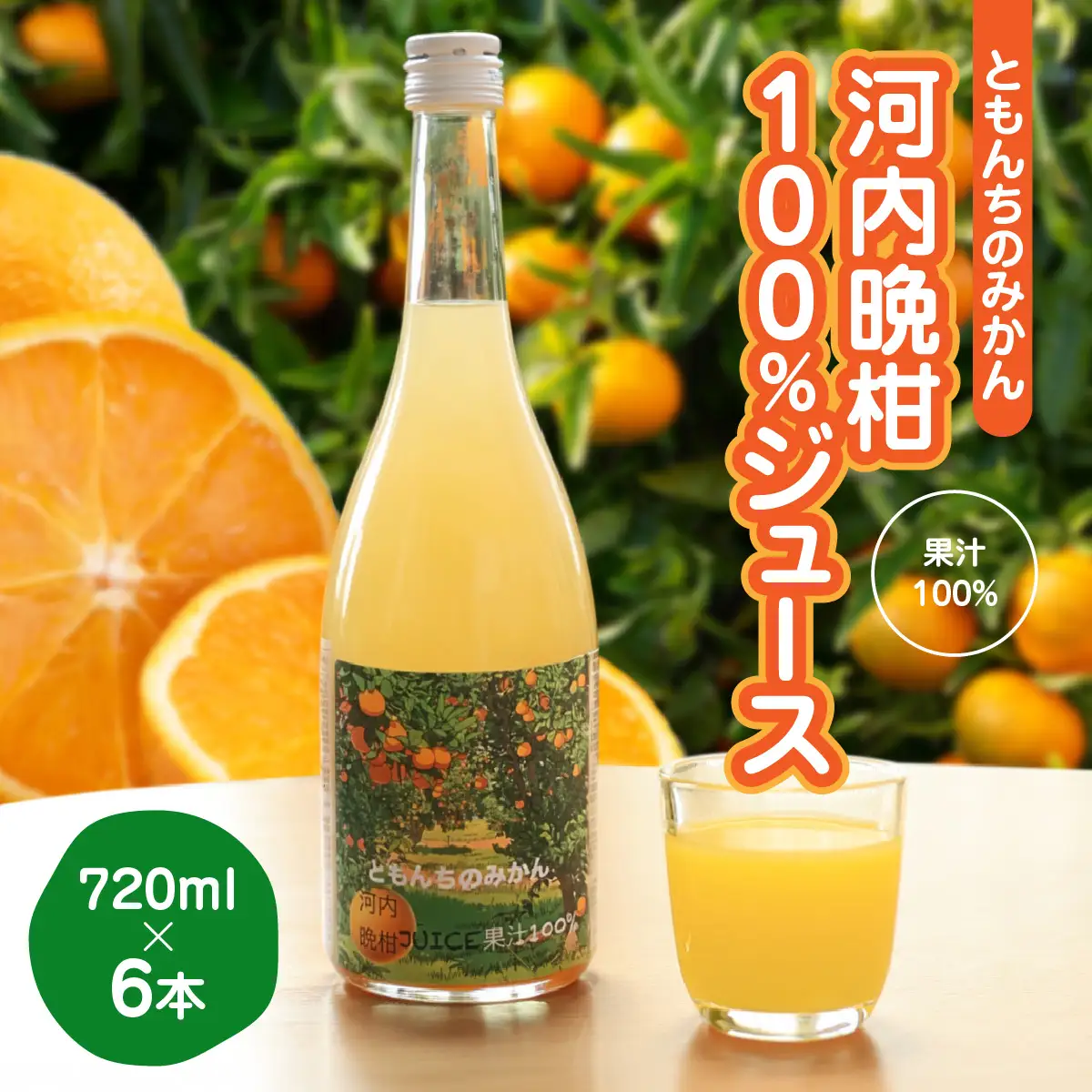 河内晩柑100%ジュース720ml×６【91-3】 YWTB004